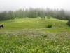 2013_07_05-oberblegisee1