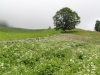 2013_07_05-oberblegisee3