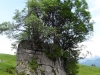 2013_07_05-oberblegisee7
