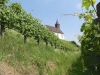 2013_07_13-rheinfall-rheinau07