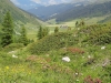 2013_07_15-sertig10