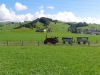 2012_07_30-alpenpanorama31