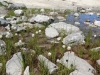 2013_08_02-aletsch16