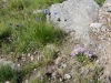 2013_08_02-aletsch18