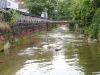 2013_08_28-dorfbach04