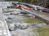 2013_08_28-dorfbach06