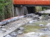 2013_08_28-dorfbach08