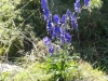 2013_08_30-alpenpanorama503