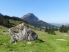 2013_08_30-alpenpanorama504