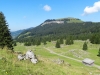 2013_08_30-alpenpanorama506