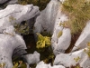 2013_08_31-churfirsten09