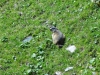 2013_09_04-titlis18