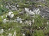 2013_09_06-melchsee-frutt15