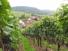 2013_09_14-wilchingen02