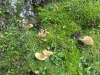 2013_10_04-stoos-9