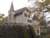 2013_11_01-hallwilersee8