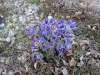 2014_03_07-klingnau10
