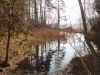 2014_03_07-klingnau8