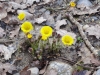 2014_03_07-klingnau9