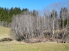 2014_03_20-alpenpanorama9-106