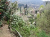 2014_04_02-gamborogno9