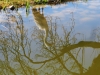 2015_04_06-osterspaziergang7
