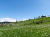 2014_04_11_alpenpanorama10etappe9