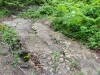 2014_05_09-linn6