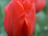 2014_05_14_mainau4