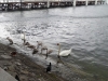 2014_06_30-luzern2