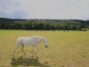 2014_08_22-jura12