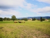 2014_08_22-jura14