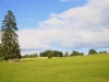 2014_08_22-jura15