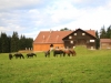 2014_08_22-jura17