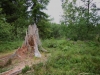 2014_08_22-jura3