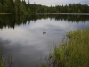 2014_08_22-jura6