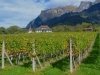 2014_10_10-buendner-herrschaft1