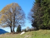 2014_10_18-19-klosters5