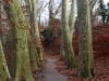 2014_12_12-jurahoehenweg9