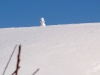 2015_02_13-einsiedeln4