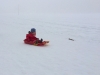 2015_02_17-guldenen2