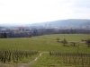 2015_03_07-altberg1