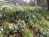 2015_03_07-altberg2