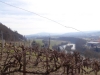 2015_03_07-altberg3