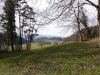 2015_03_07-altberg9