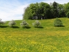 2015_05_08-zueri-oberland10