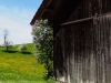 2015_05_08-zueri-oberland9