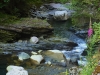 2015_07_11-landwasser2