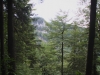 2015_08_06-jurahoehenweg1