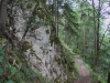 2015_08_06-jurahoehenweg2